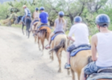 Defocused background of a group of horse riders