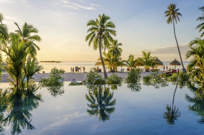 Palms over an infinity pool on the beach, French Polynesia