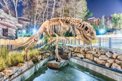 Dinosaur skeleton in amusement park at night