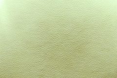 Background of a emerald leather texture