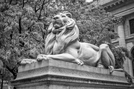 Lion statue in front of the Public Library in Midtown Manhattan, New York City, USA
