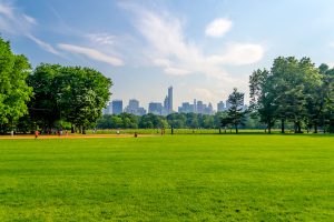 Central Park, Manhattan, New York City, USA